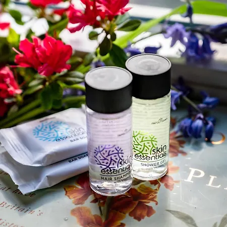 Bay House And Gardens Kells (Kerry)