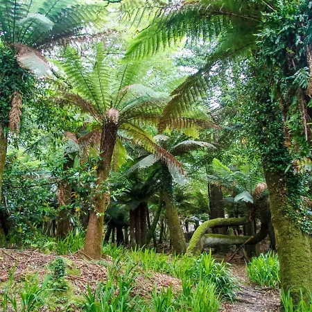 Ferienhaus Kells Bay House&gardens Kells (Kerry)